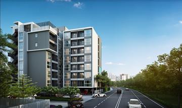 โมเดิร์น คอนโด เดอะ ฟอเรสท์ [Modern Condo - The Forest]